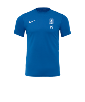 Nike Park VII Trikot kurzarm Blau F463