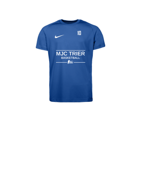 Nike Park VIII Trikot Kids Blau F463