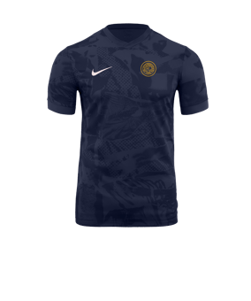 Nike Precision VII Trikot Blau F410