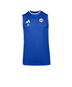 adidas Entrada 26 Trikot Blau