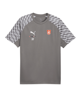 PUMA teamLIGA26 Trikot Grau F13