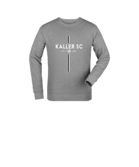 Merch Mini Changer 2.0 Sweatshirt Kids Heather Grey | #revolution