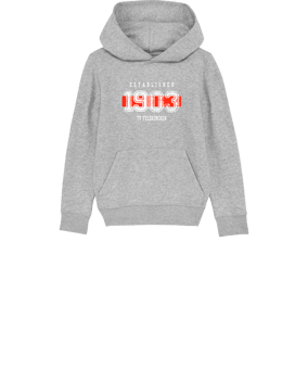 Merch Mini Cruiser 2.0 Hoody Kids H. Grey | #established
