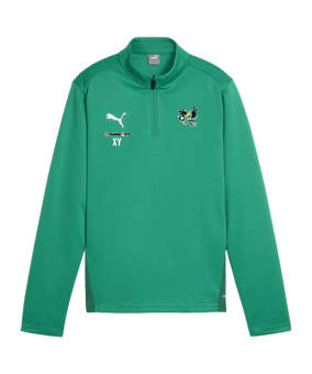 PUMA teamGOAL Training 1/4 Zip Sweatshirt Kids F05
