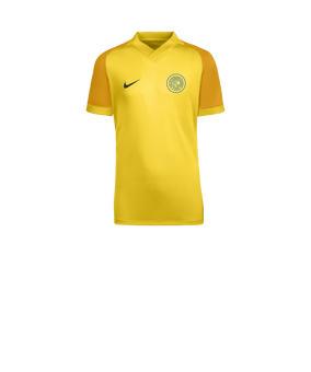 Nike Trophy VI Trikot Kids Gelb F719