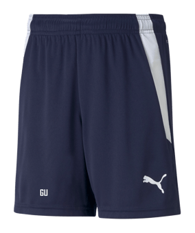 PUMA teamLIGA Short Kids Blau Weiss F06