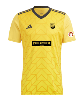 adidas Team Icon 23 Trikot Gold
