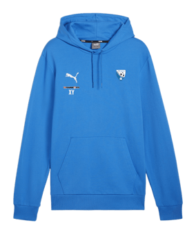 PUMA teamGOAL Casuals Hoody Blau F02