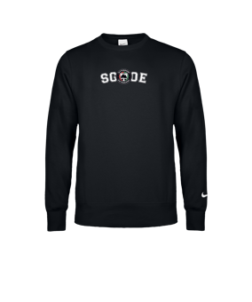 Nike Park 26 Sweatshirt Schwarz F010