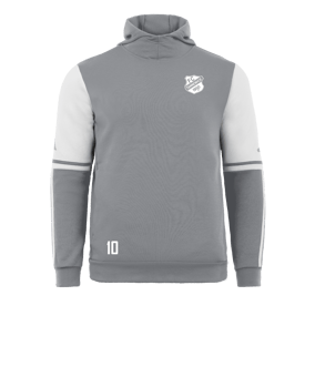 adidas Squadra 25 Hoody Grau