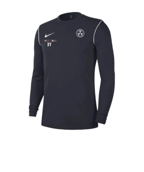 Nike Park 20 Sweatshirt Blau Weiss F451