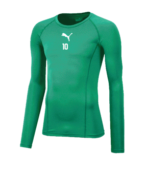 PUMA LIGA Baselayer Longsleeve Grün F05