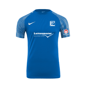 Nike Academy Trikot Blau Weiss F463