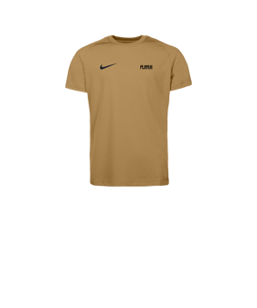 Nike Park VIII Trikot Kids Gold F729