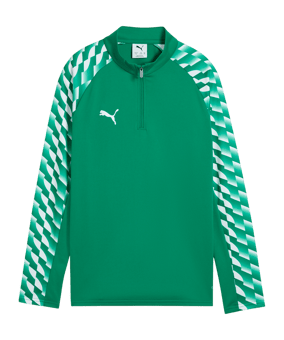 PUMA teamLIGA26 Training 1/4 Zip Top Kids Grün F05 - gruen