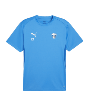 PUMA teamGOAL Trikot Blau F02