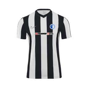 Nike Division V Striped Trikot Weiss F100