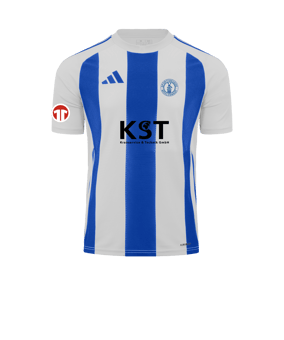 adidas Striped 24 Trikot Weiss Blau