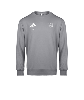adidas Entrada 26 Sweatshirt Gris 