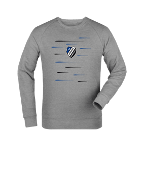 Merch Roller Sweatshirt Heather Grey | #lines