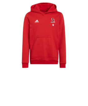 Sweat à capuche enfant adidas Entrada 22 Rouge 