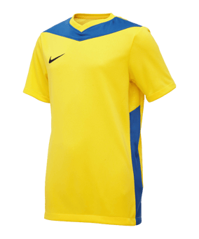 Nike Park Derby IV Trikot Kids Gelb Blau F720 - gelb