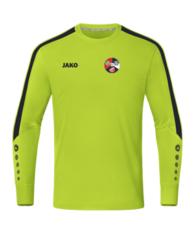 JAKO Power Torwarttrikot Kids Grün F210