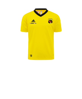 adidas Entrada 22 Trikot Kids Gelb Schwarz