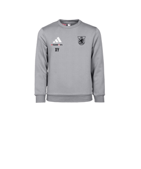 adidas Entrada 26 Sweatshirt Kids Grau