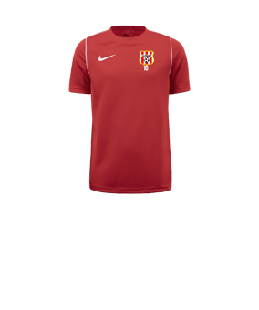 T-shirt de Training enfant Nike Park 20 à manches courtes