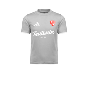 adidas Entrada 26 Trainingsshirt Kids Grau