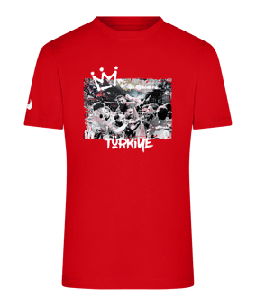 Nike Turkey TFF Team Success T-Shirt Rot F657success