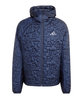 adidas Terrex Xperior PrimaLoft Giacca da running Blu - blu