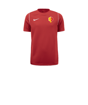 T-shirt de Training enfant Nike Park 20 à manches courtes