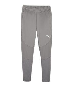 PUMA teamFINAL Trainingshose Grau F13 - grau