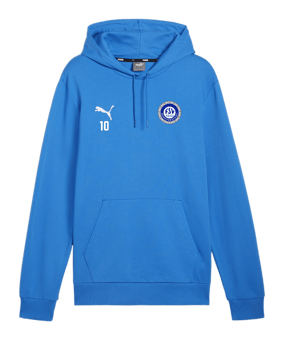 PUMA teamGOAL Casuals Hoody Blau F02