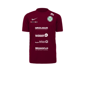 Nike Park VII Trikot kurzarm Kids Rot F677