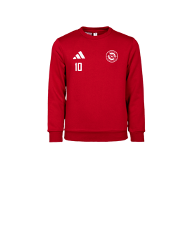 adidas Entrada 26 Sweatshirt Kids Rot