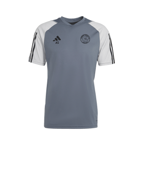 adidas Tiro 23 Competition Trikot Grau