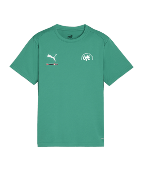 PUMA teamGOAL Trikot Kids Grün F05