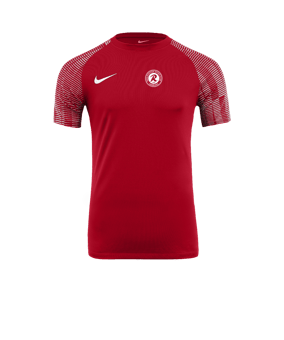 Nike Academy Trikot Rot Weiss F657