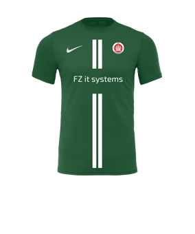 Nike Park VII Trikot kurzarm Grün F302