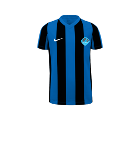 Nike Division V Striped Trikot Kids Blau F463