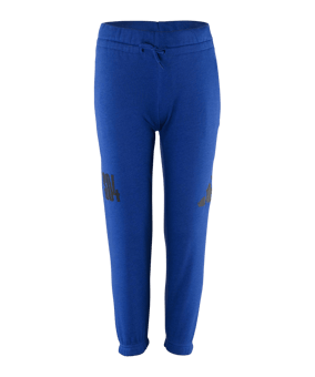 adidas FC Schalke 04 Essentials Jogginghose Kids Blau - blau