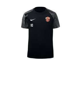 Nike Academy Trikot Kids Schwarz Weiss F010