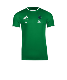 adidas Entrada 26 Trikot Grün