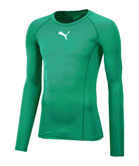 PUMA LIGA Baselayer Longsleeve Grün F05 - gruen