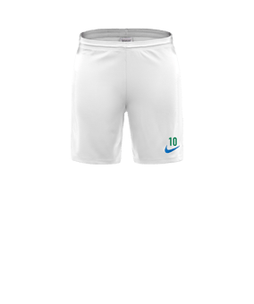 Nike Park III Short Weiss Grün F102