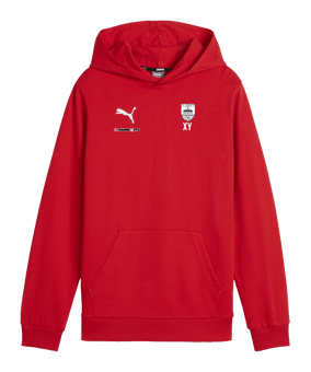 PUMA teamGOAL Casuals Hoody Kids Rot F01