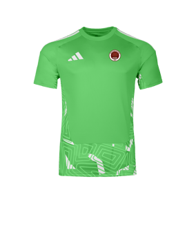 adidas Tiro 26 Maillot de gardien de but Vert 